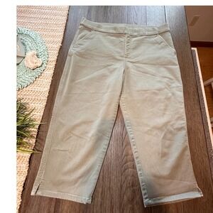 Classic Apparel Khakis & Company Cropped Capri Pants Ab Control Olive Size 16